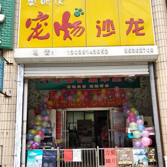 奥斯达宠物沙龙:长春市南关区