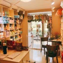 这有一家宠物店:长春市南关区