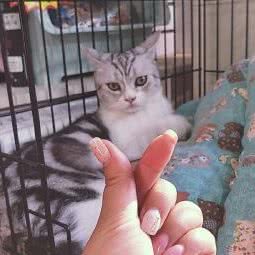 三千宠爱(万晟幸福里店):长春市南关区