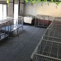 吉诺宠物庄园训犬寄养俱乐部:长春市南关区