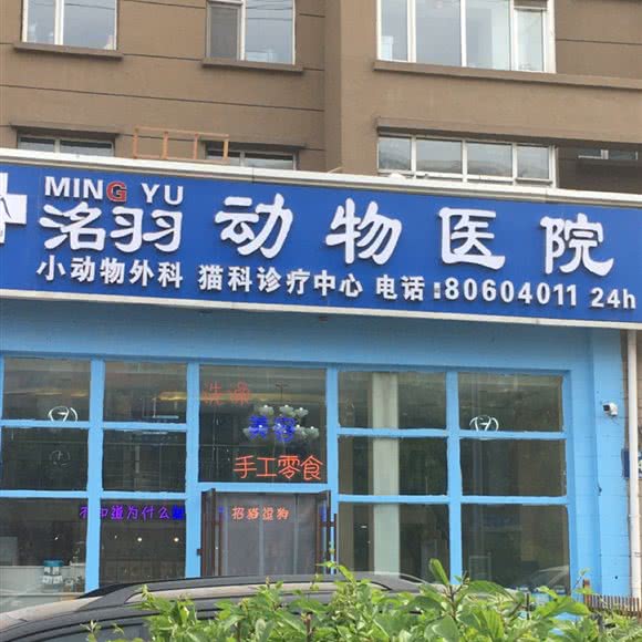 洺羽动物医院:长春市南关区
