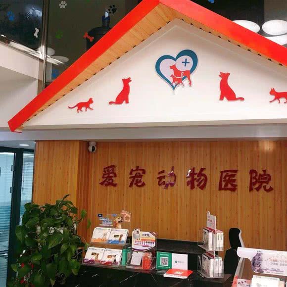 爱宠动物医院:长春市南关区