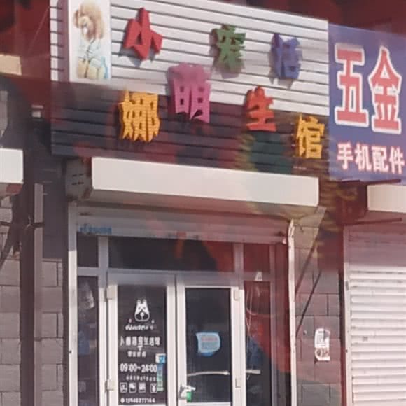 小娜萌宠宠物店:长春市宽城区