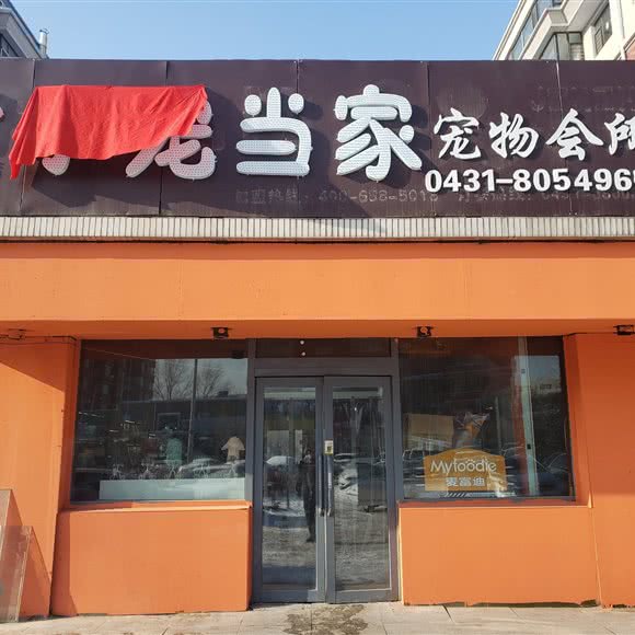 小宠当家宠物会所(富丰路店):长春市宽城区
