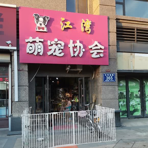 江湾萌宠协会:长春市宽城区