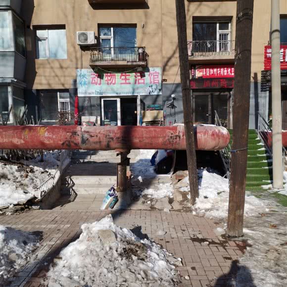 伙伴动物生活馆:长春市宽城区