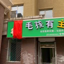 鑫沐毛孩有主宠物店:长春市宽城区