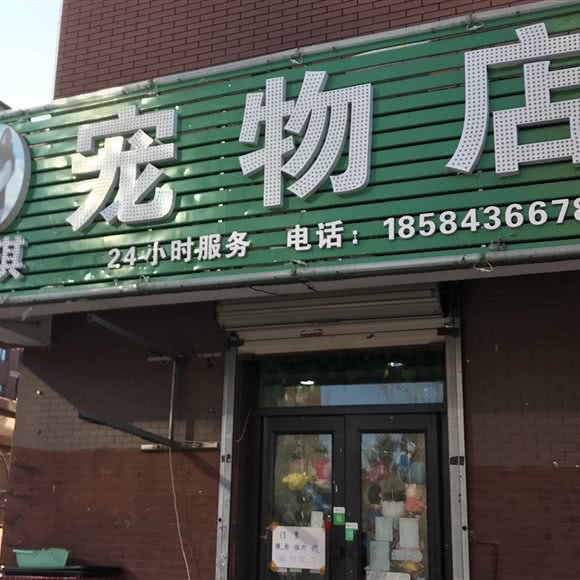 琪琪宠物店:长春市宽城区