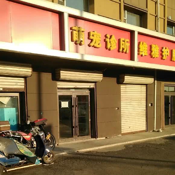 萌宠诊所:长春市宽城区