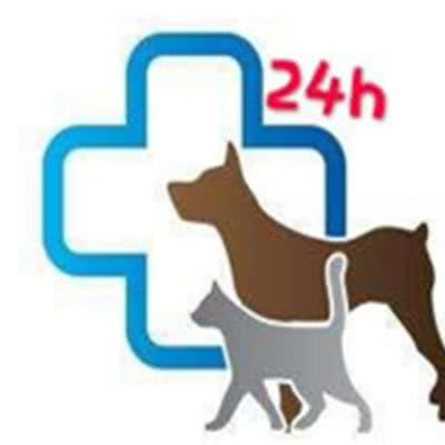 耀康动物医院:长春市宽城区