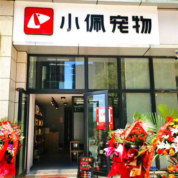 小佩宠物:太原市小店区红灯笼体育场附近