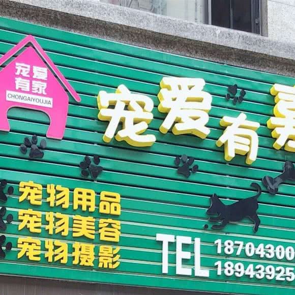 宠爱有嘉宠物店:长春市朝阳区