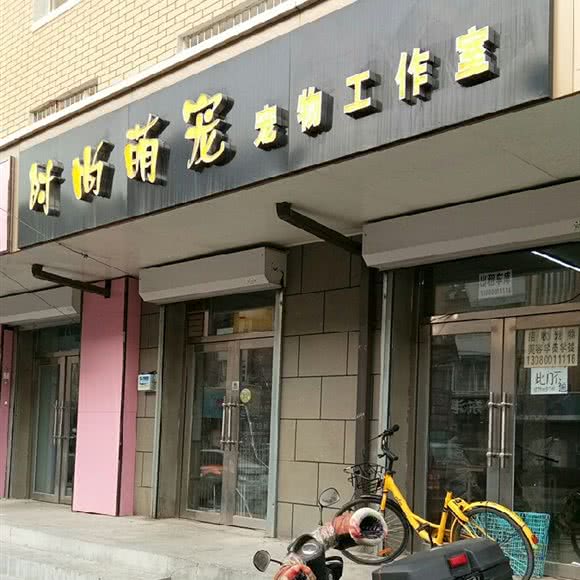 时尚萌宠宠物工作室:长春市二道区