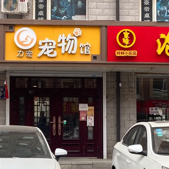 力宠宠物馆:长春市二道区