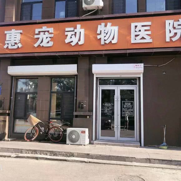 惠宠动物医院(远达大街店):长春市二道区
