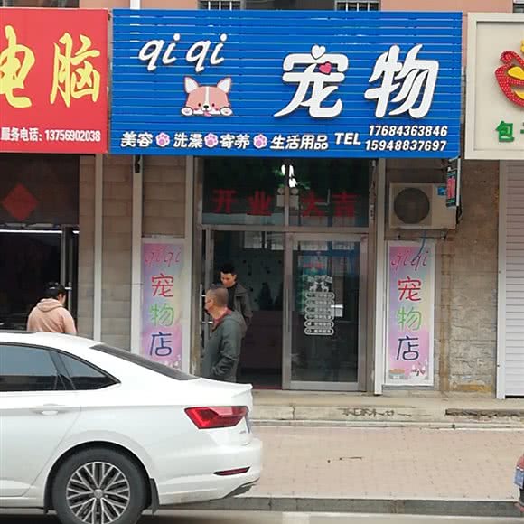qiqi宠物:长春市九台区