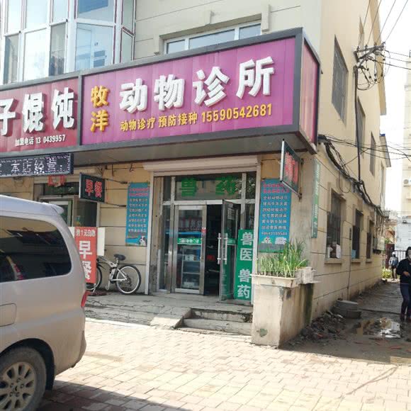 牧洋动物诊所:长春市九台区