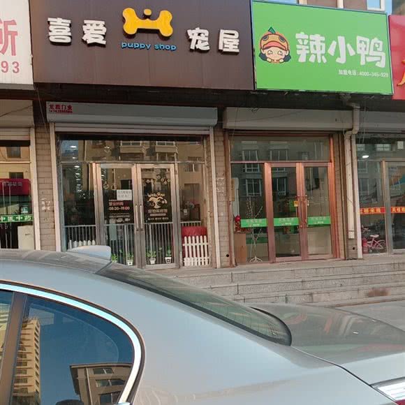 喜爱宠屋:长春市农安县