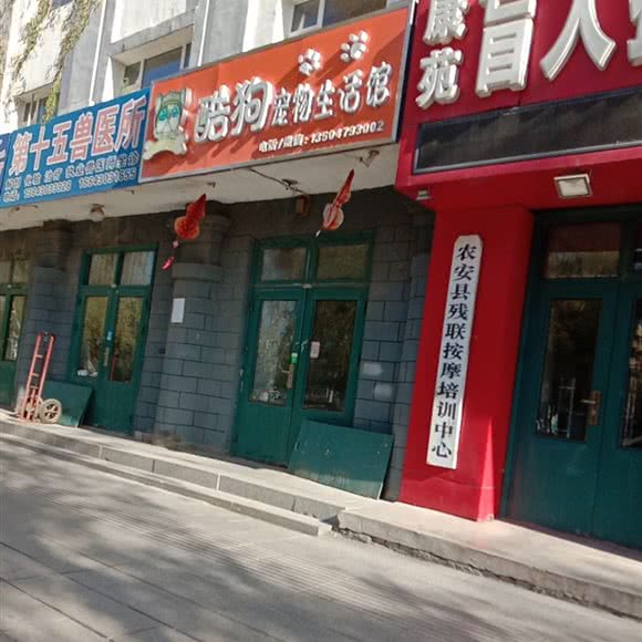酷狗宠物生活馆:长春市农安县