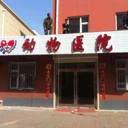 杨光动物医院:长春市农安县