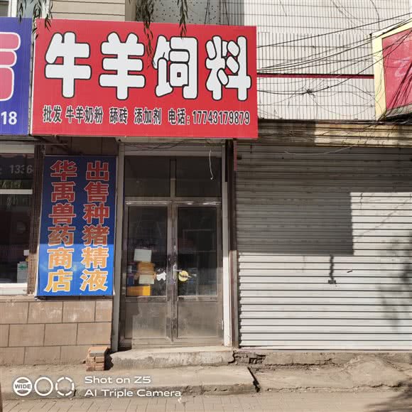 牛羊饲料:长春市德惠市