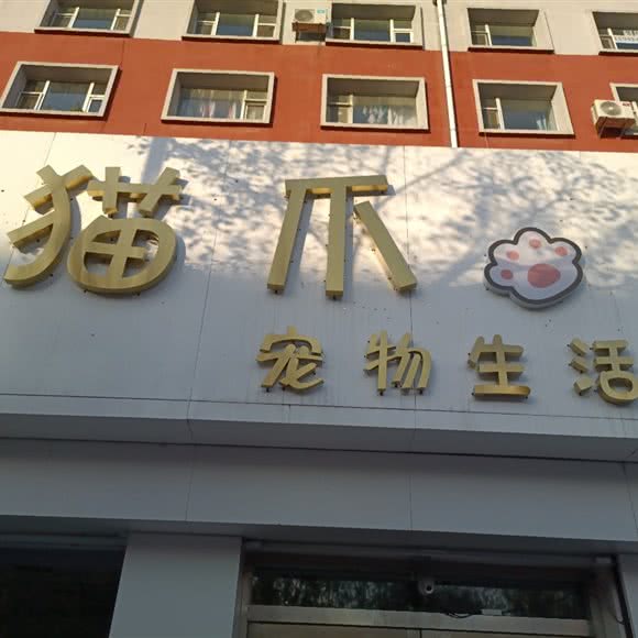猫爪宠物生活馆:长春市公主岭市