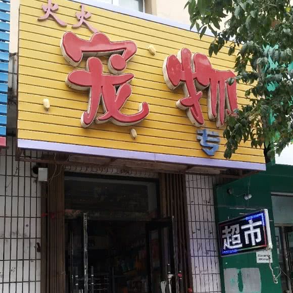火火宠物狗:长春市公主岭市