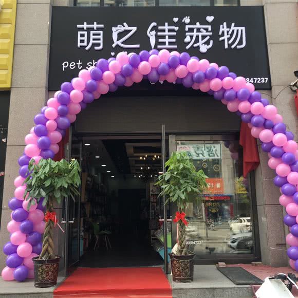 萌之佳宠物生活馆:太原市小店区山西财经大学附近