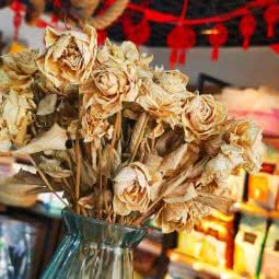 劲腾宠物:太原市小店区山西财经大学附近