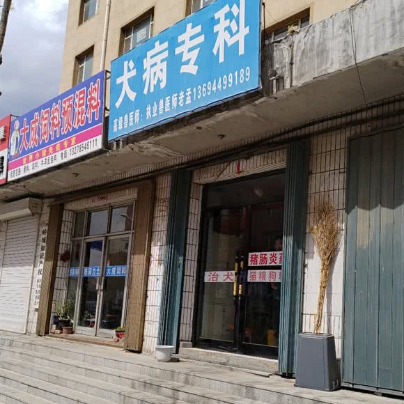 犬病专科:长春市公主岭市