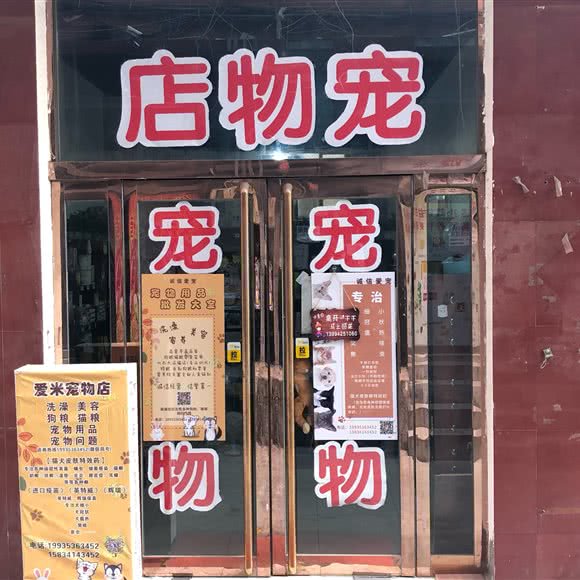 爱米宠物店:太原市小店区小马附近