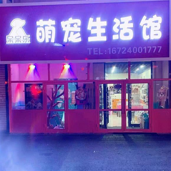 呆呆乐萌宠生活馆:吉林市昌邑区