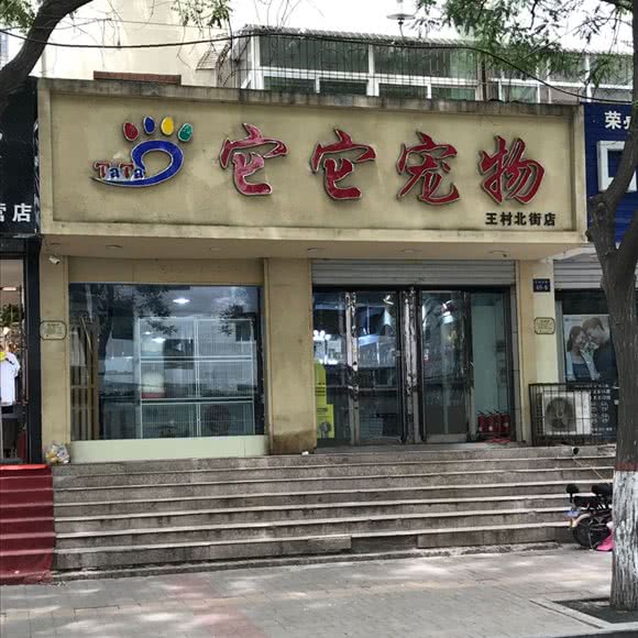它它宠物(王村北街店):太原市小店区寇庄西路附近