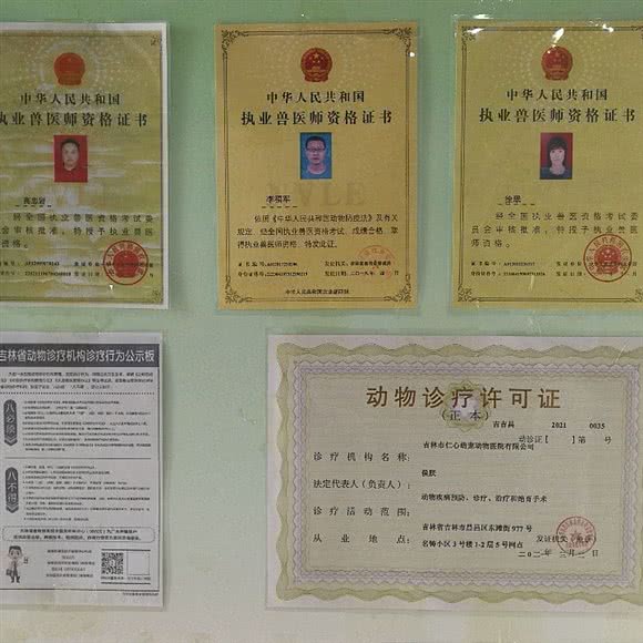 仁心萌宠动物医院:吉林市昌邑区