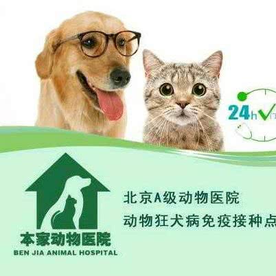 北京本家国际动物医院总院:北京城区东城区广渠门内附近
