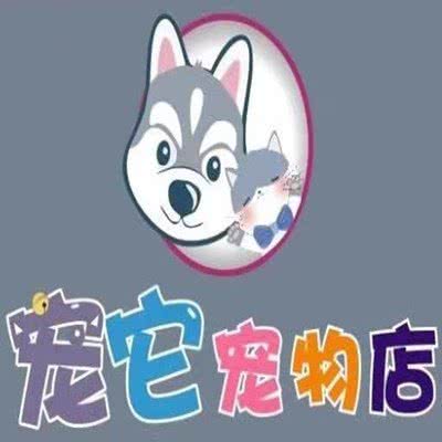 宠它宠物店:吉林市丰满区