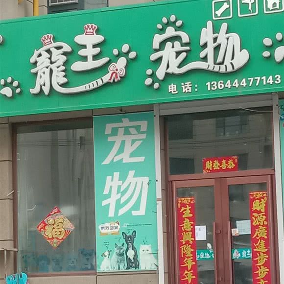 宠主宠物(二店):吉林市永吉县