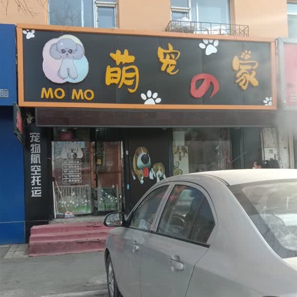 萌宠の家:吉林市蛟河市