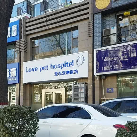 星吉宠物:太原市迎泽区桃园路附近