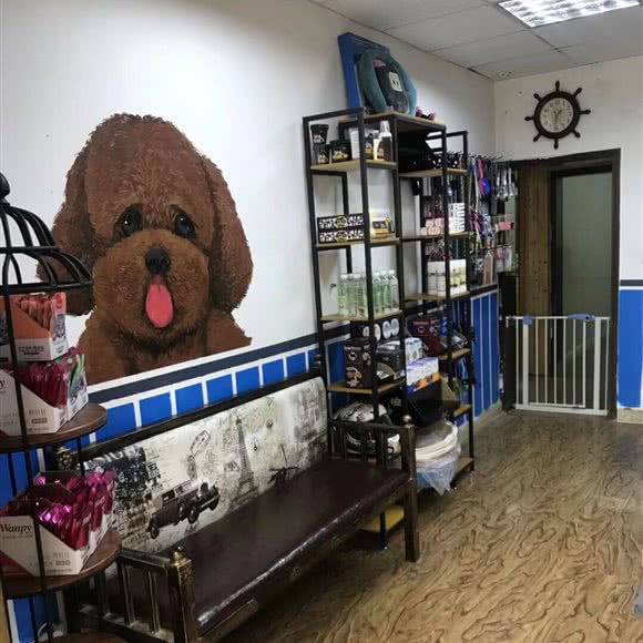 恬恬佳宠物:太原市迎泽区桃园路附近