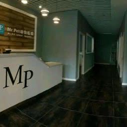 宠物Mr.Dog:太原市迎泽区桃园路附近