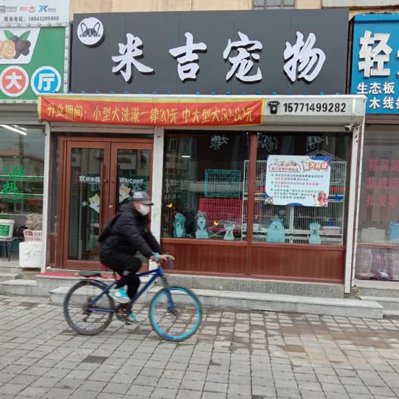 米吉狗狗:吉林市舒兰市