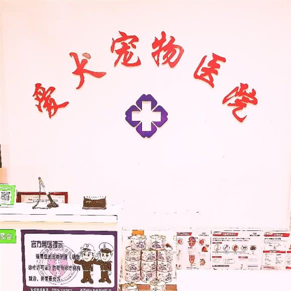 爱犬宠物医院:太原市迎泽区桃园路附近