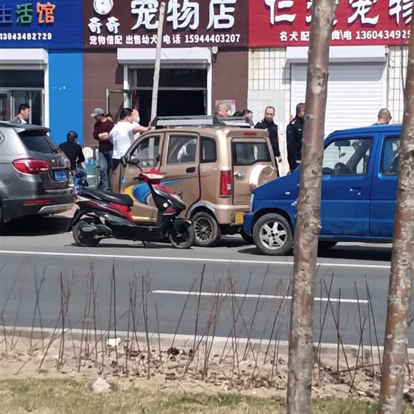 奇奇宠物店:四平市铁东区