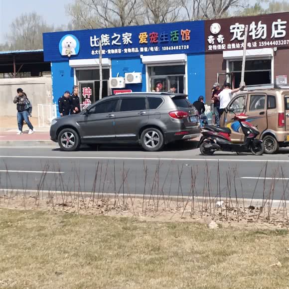 比熊之家爱宠生活馆:四平市铁东区