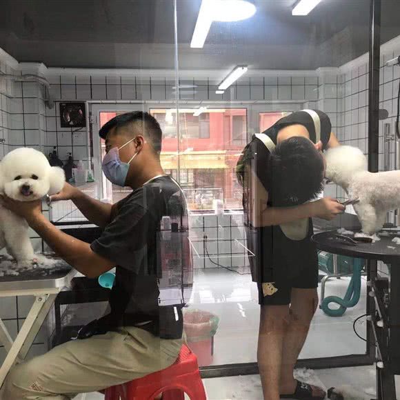 瑞宠宠物店:四平市双辽市