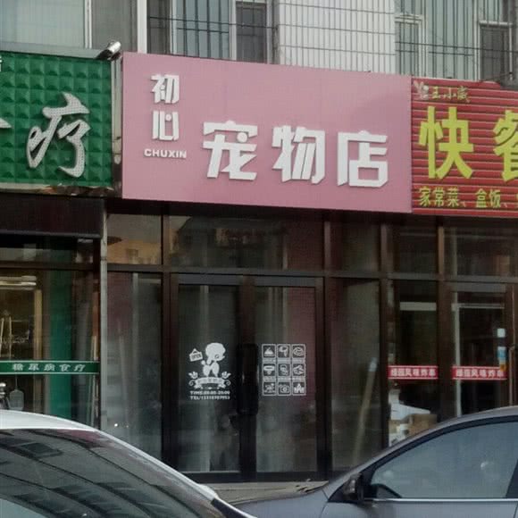 初心宠物店:四平市双辽市