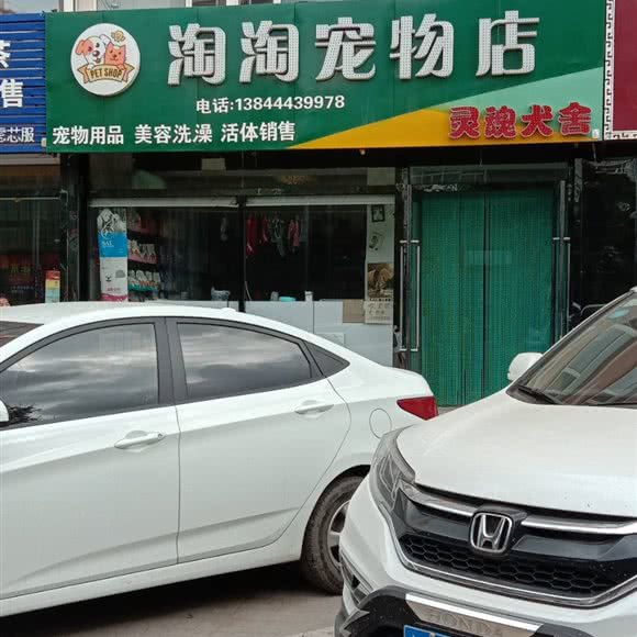 淘淘宠物:四平市双辽市