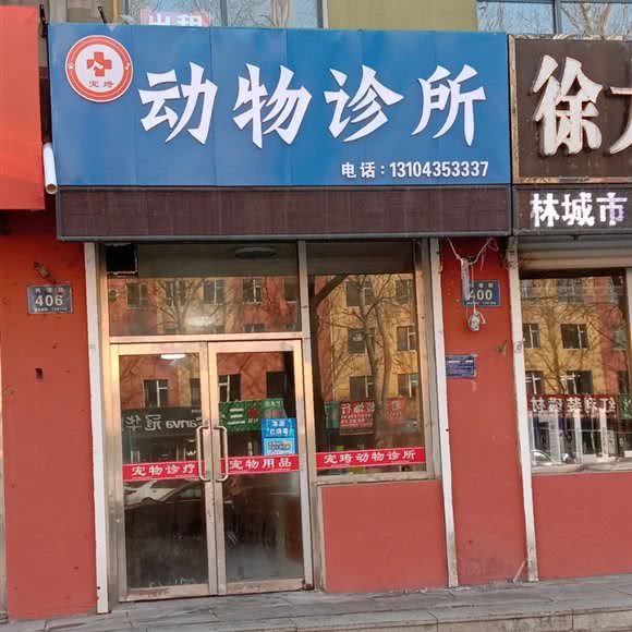 宠琦动物诊所:通化市通化县