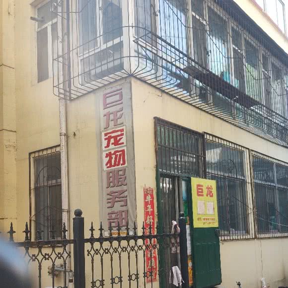 巨龙宠物:太原市迎泽区迎泽大街附近